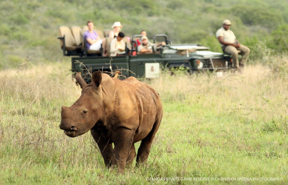 20141220 - CS3_6174 - E