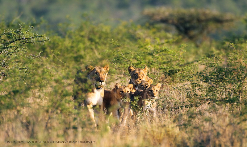 20141221 - CS2_6435 - E