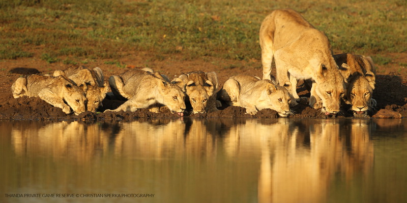 20141221 - CS2_6467 - T