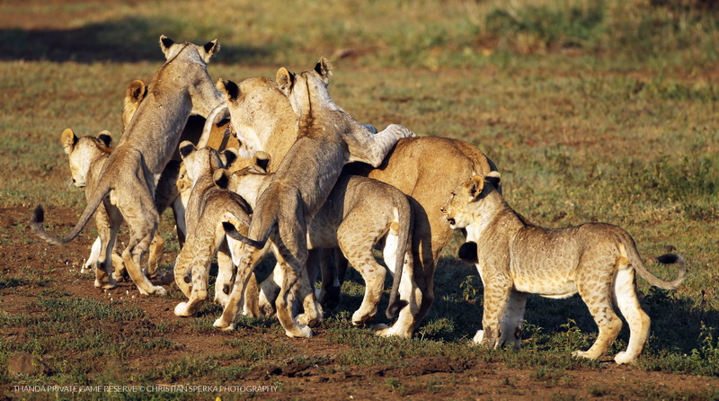 20141221 - CS2_6567 - E