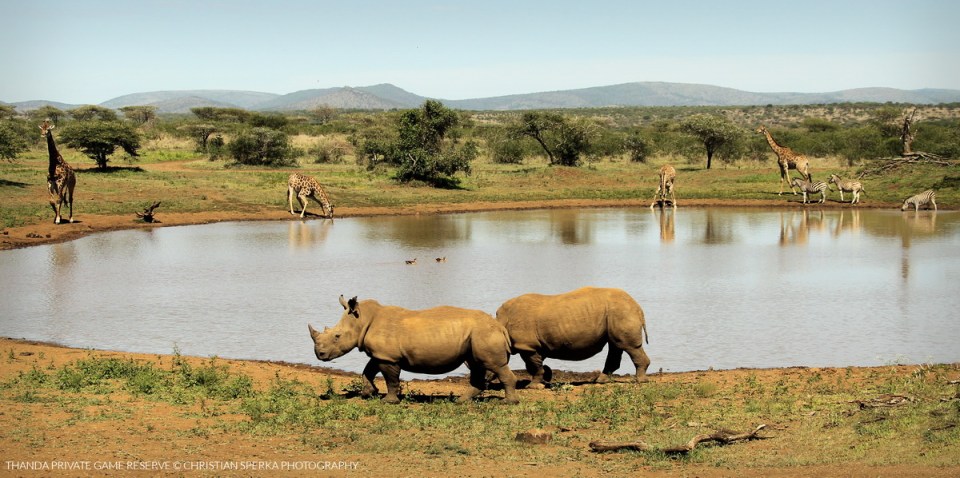 20141203 - CS3_4376 - T