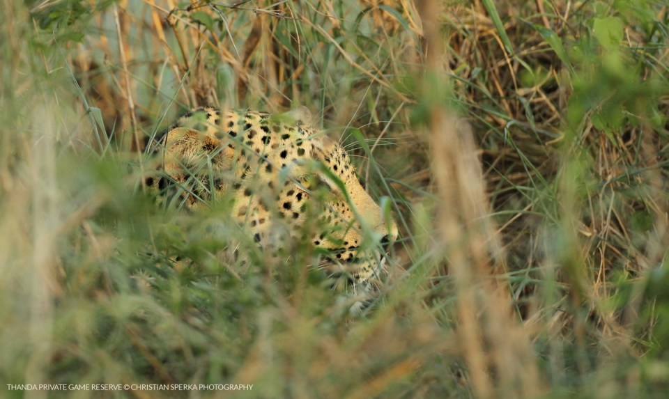 20141214 - CS2_5924 - T_1