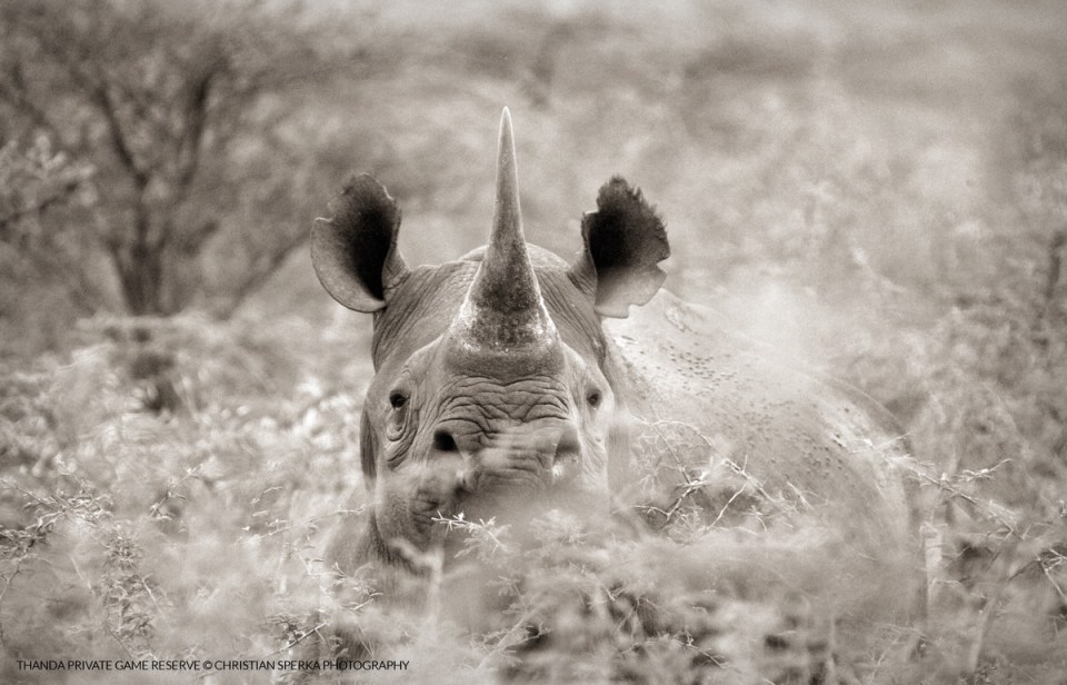 20141214 - CS3_5775 - E