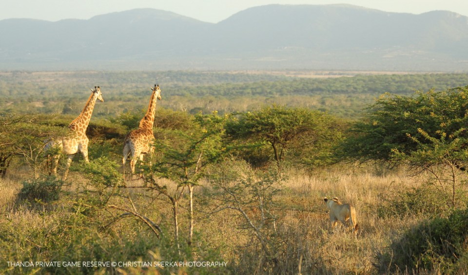 20141221 - CS3_6359 - E