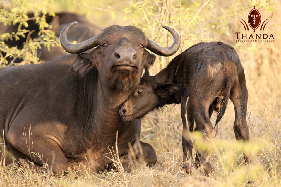 20150114 - CS1_0470 - T