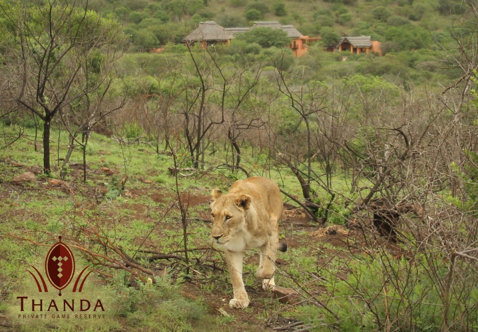 20141214 - CS3_5729 - T