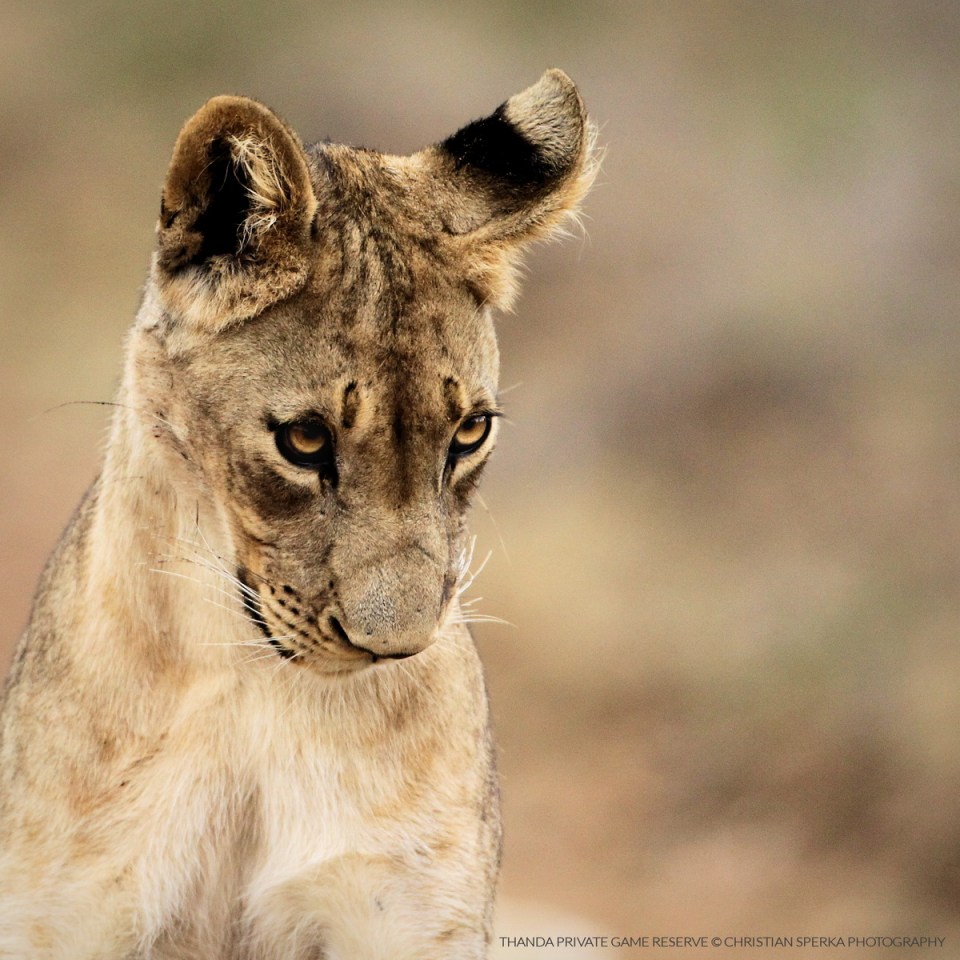 20150122 - CS3_0655 - T