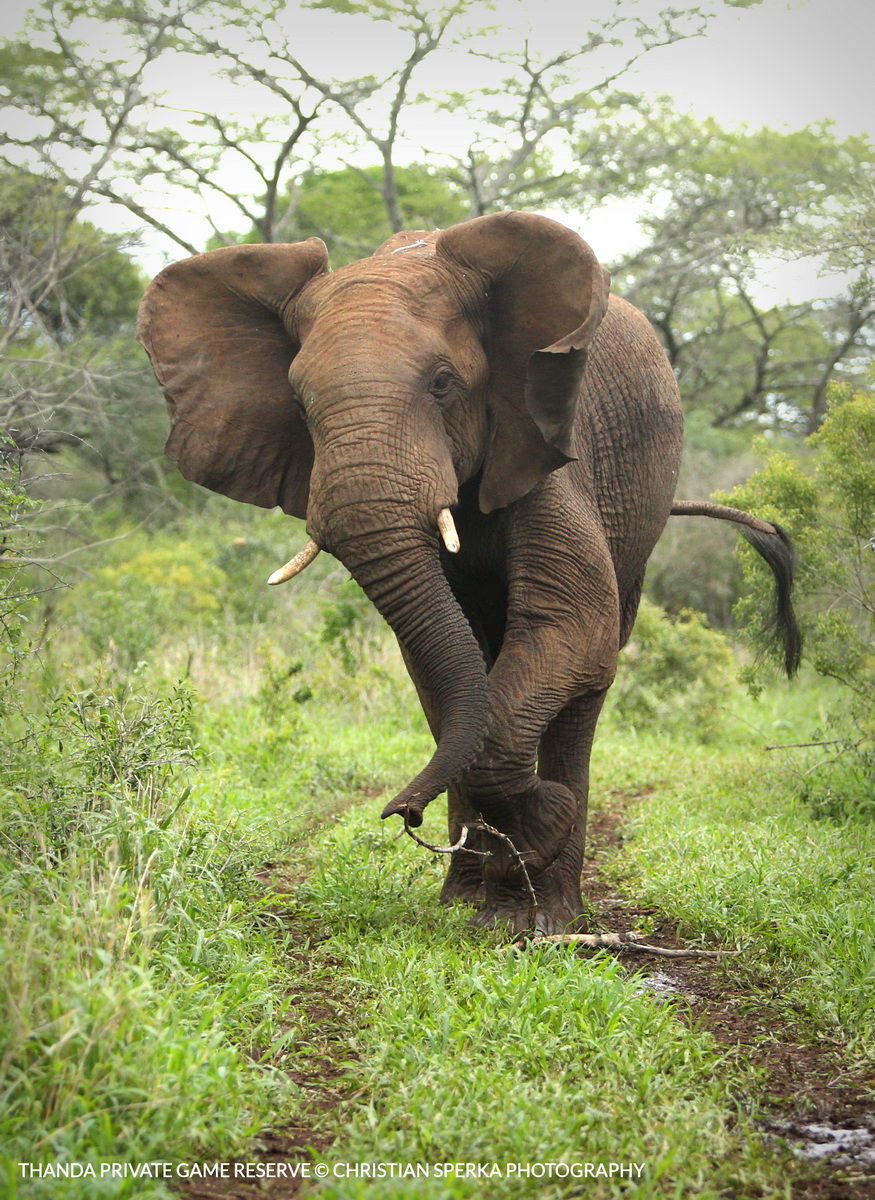 20150301 - CS2_2335 - T