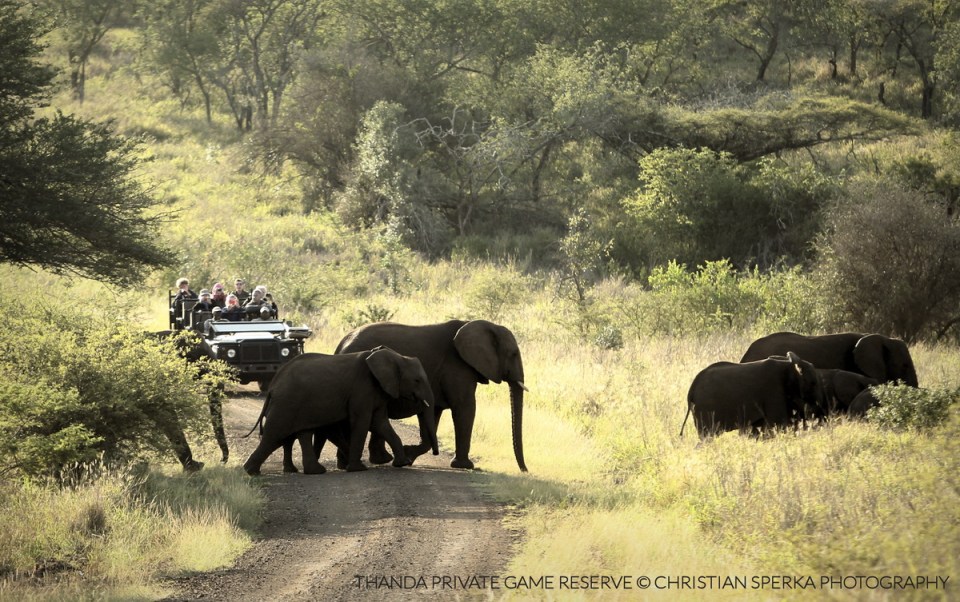 20150400 - CS3_3974 - E