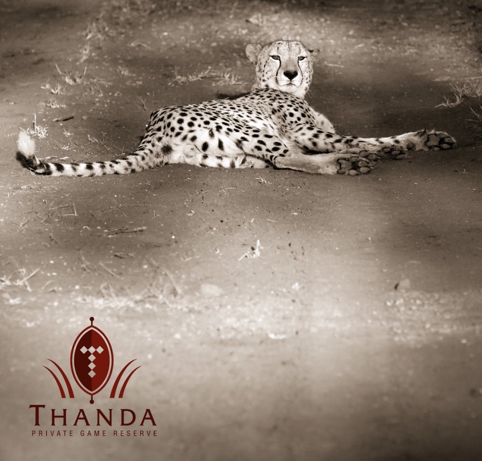 20150412 - CS2_5367 - E - E