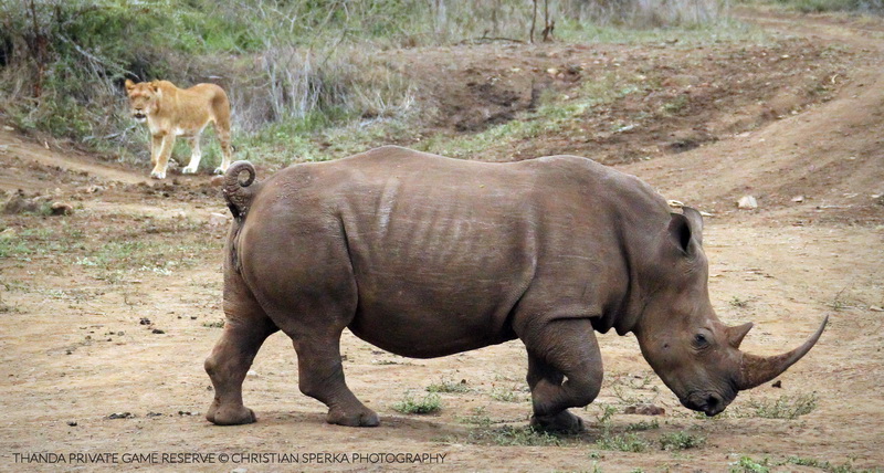 20150420 - CS2_5550 - E