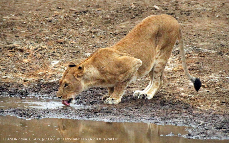 20150420 - CS2_5553 - E