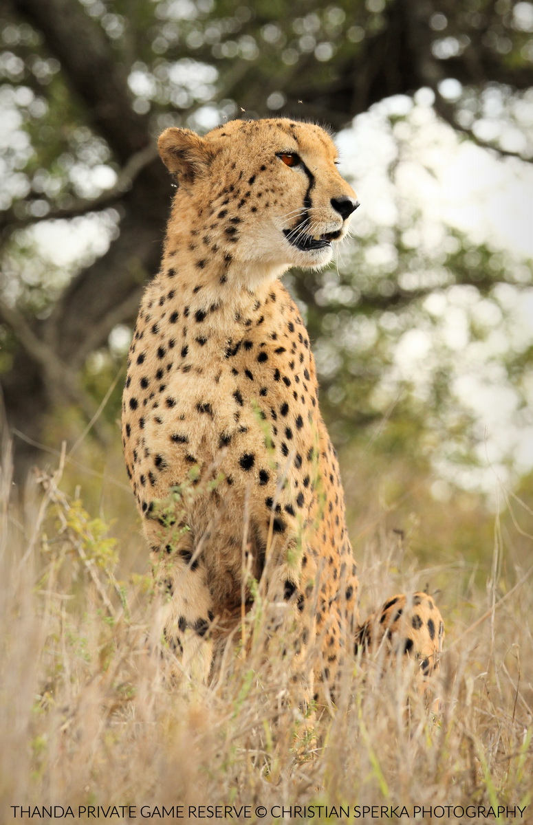 20150422 - CS3_5863 - E