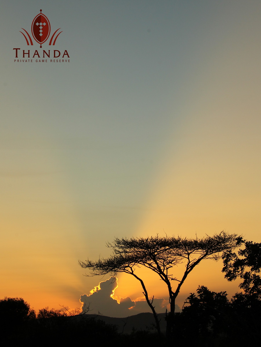 20150512 - CS3_6376 - T