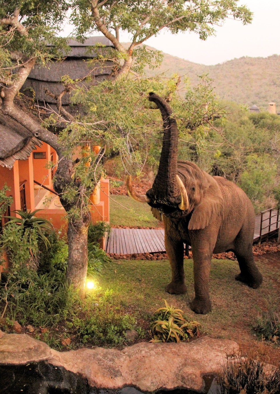 20150514 - CS3_6779 - E