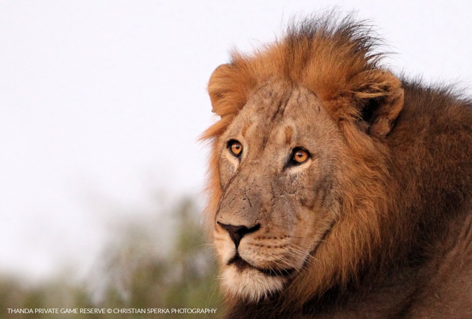 20150516 - CS1_6621 - T