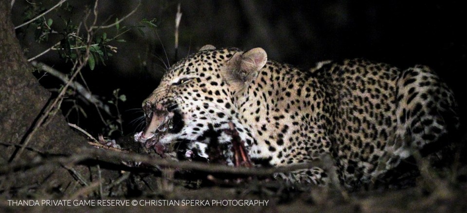 20150521 - CS1_7592 - E