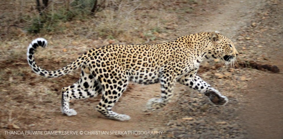 20150521 - CS3_7309 - E