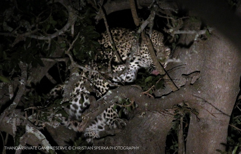 20150521 - CS3_7326 - E_1