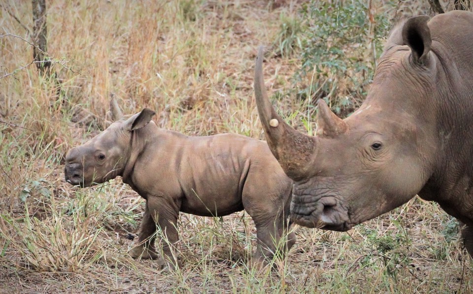 20150523 - CS1_7683 - E