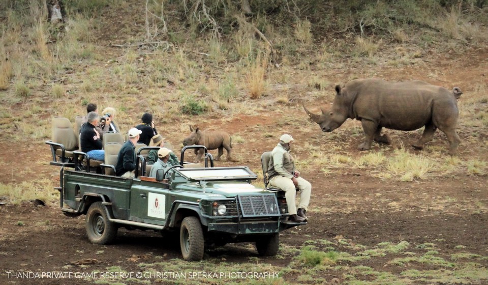 20150523 - CS3_7584 - E