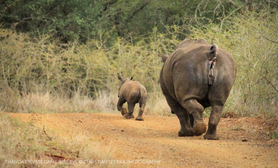 20150523 - CS3_7613 - E