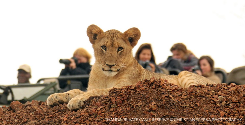 20130510 - CS2_8963 - E