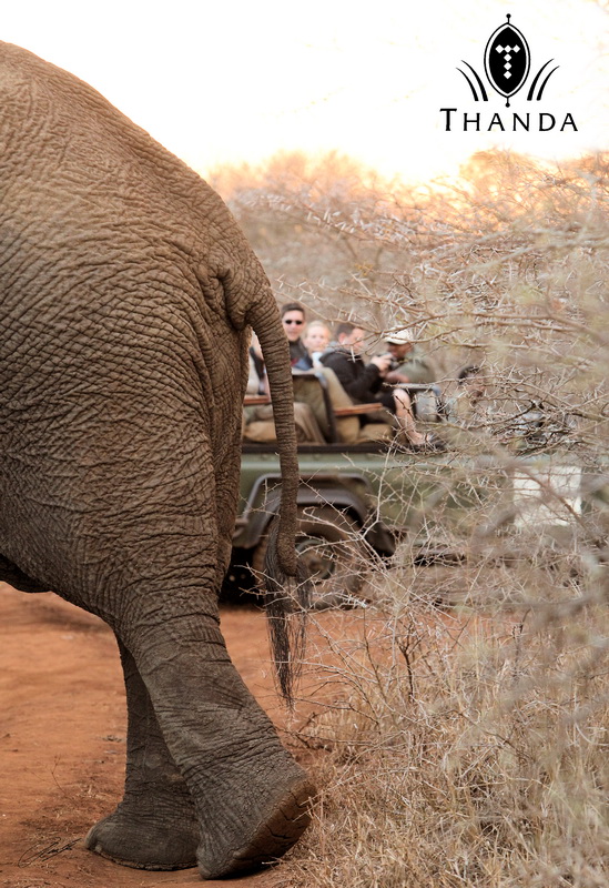 20131013 - CS1_1313 - E - SIG