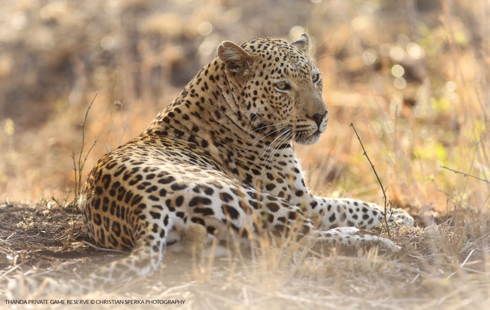 20150620 - CS3_9915 - E_1