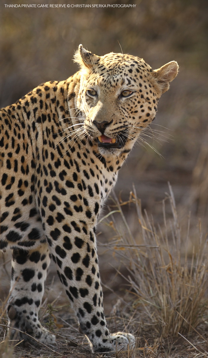 20150620 - CS3_9932 - E