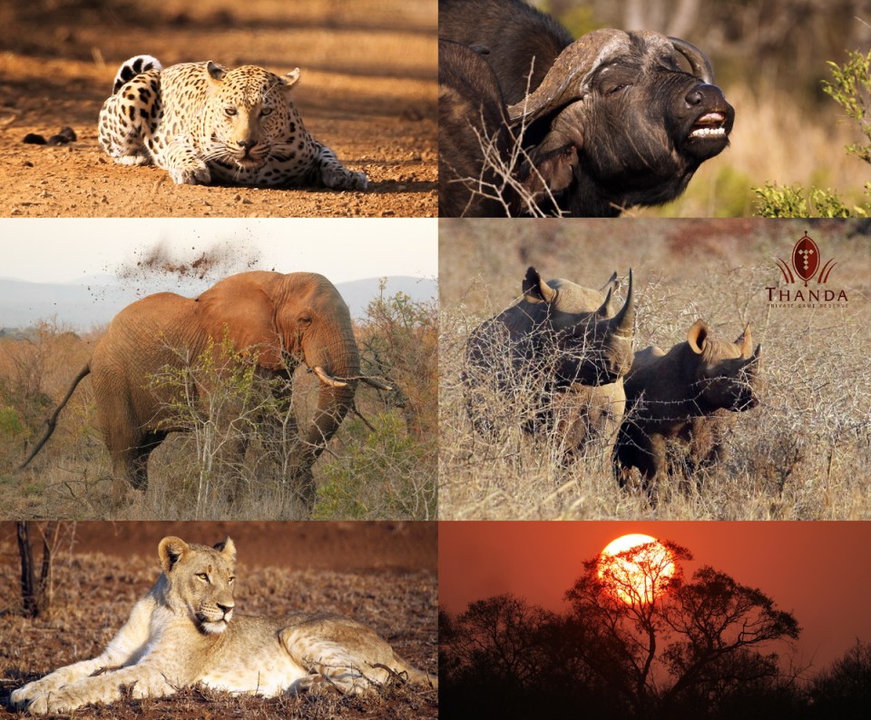 20150628 - CS0_1936 - E