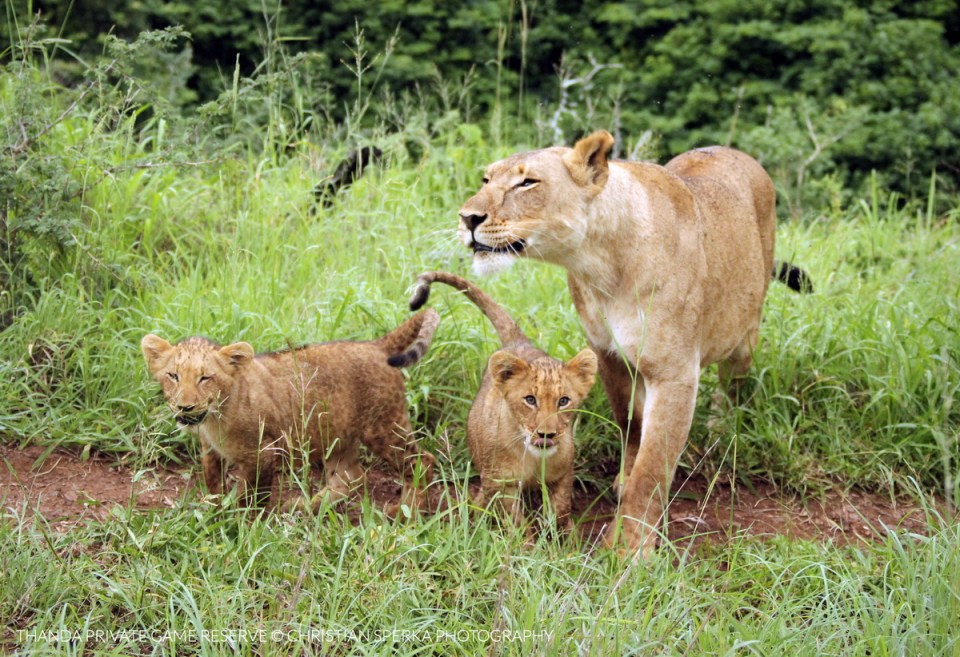 20121118 - CS2_9883 - T