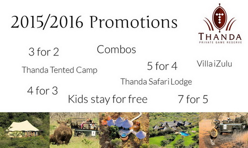 2015 2016 Promotions