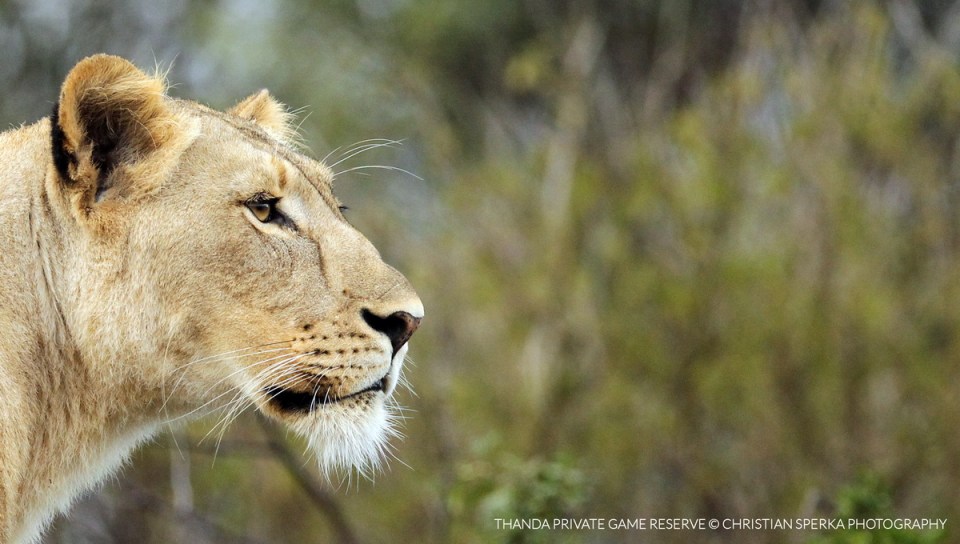 20150421 - CS3_5412 - T