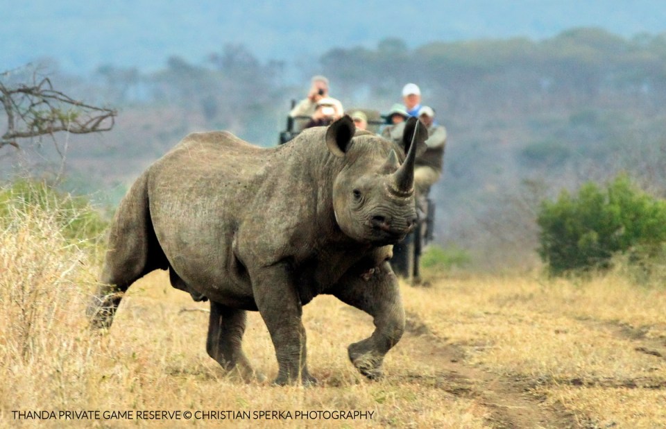 20150513 - CS3_6555 - T