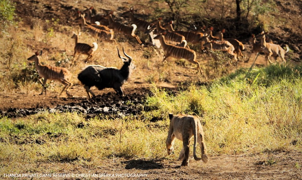 20150613 - CS2_0076 - T