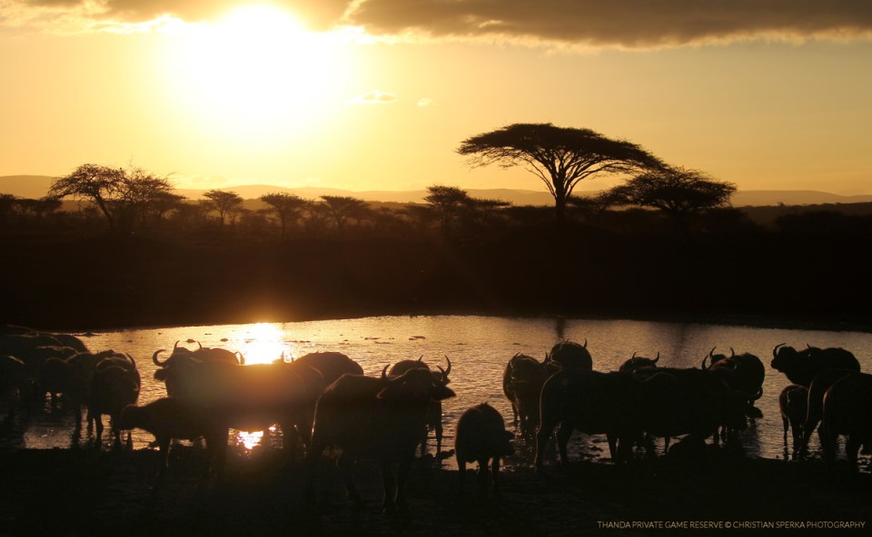 20100820 - CS2_7252 - T