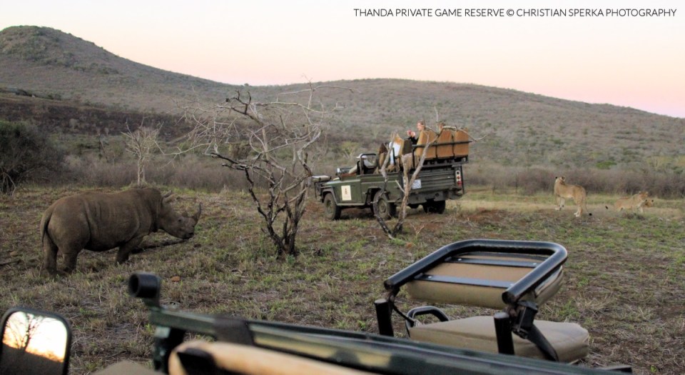 20150801 - CS3_9351 - T