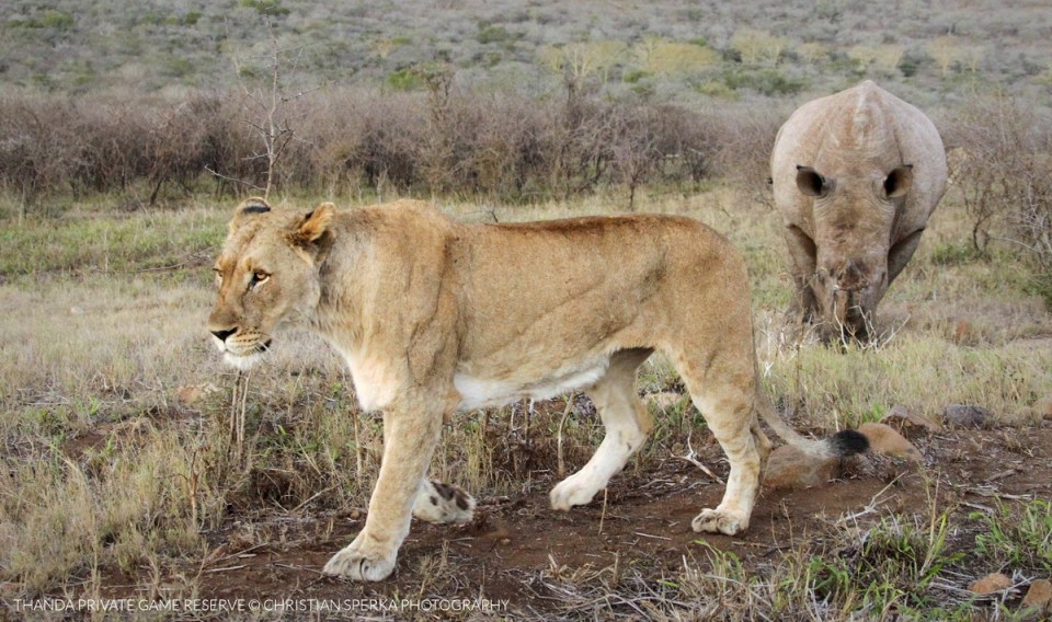 20150801 - CS3_9380 - T