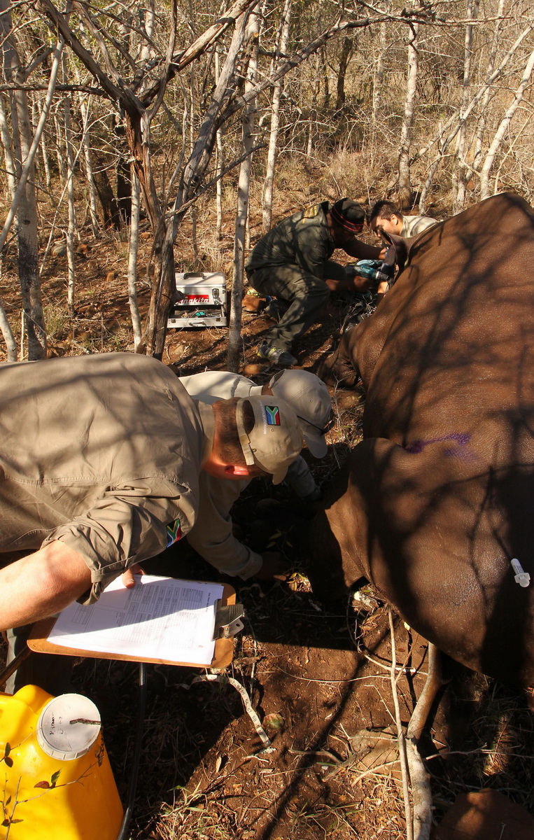 20150802 - CS1_8657 - E