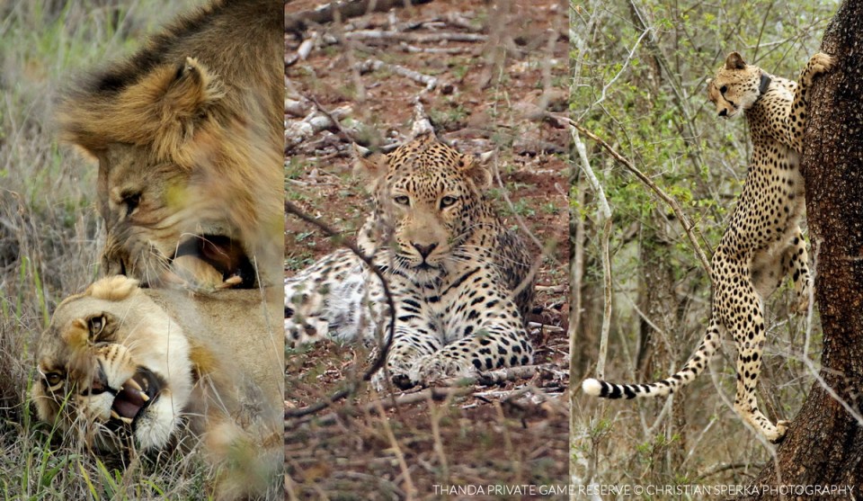 20150816 - CS0_2008 - T