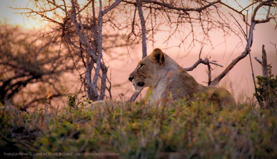 20150830 - CS1_0352 - T