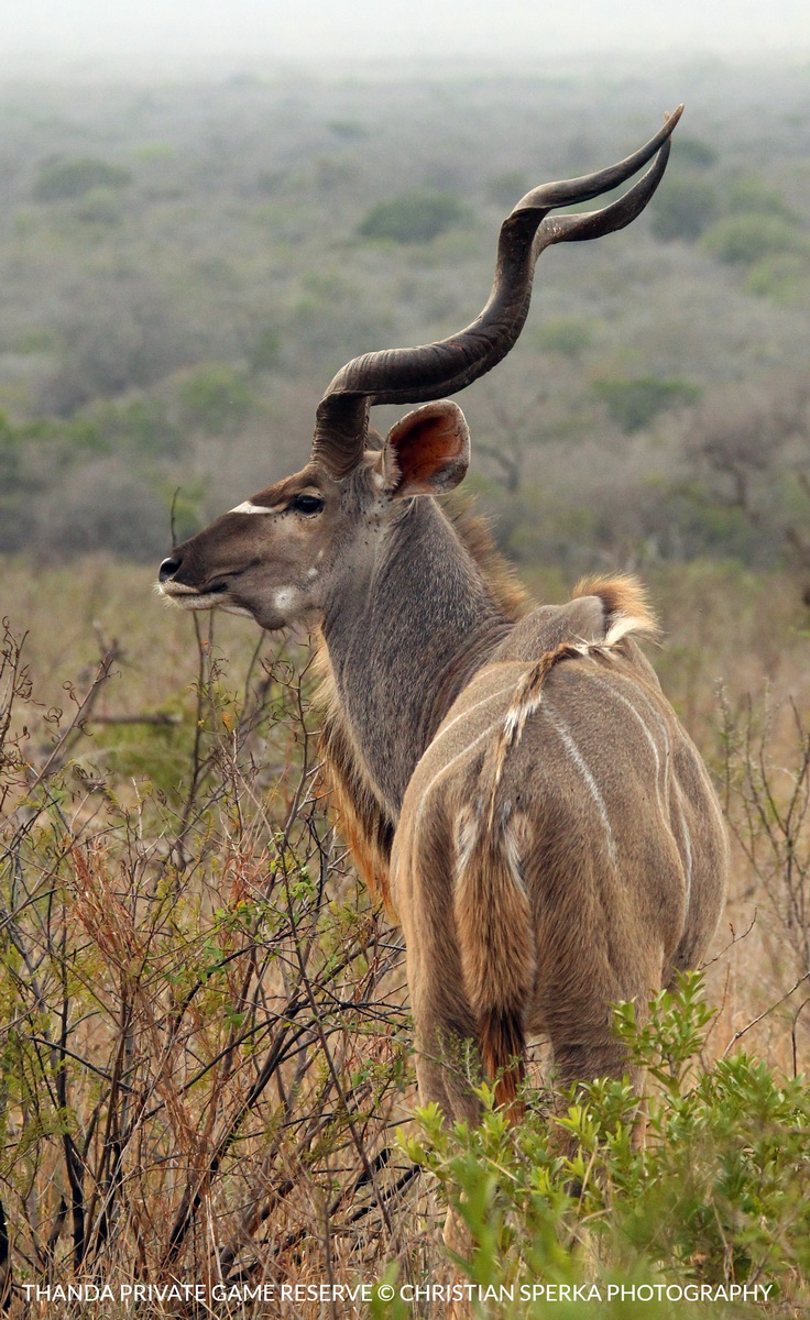 20150831 - CS1_0673 - T