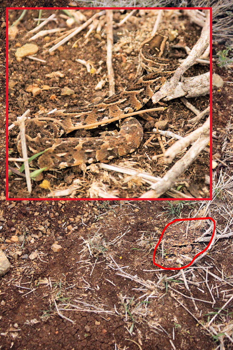 20150905 - CS1_0886 - SPC