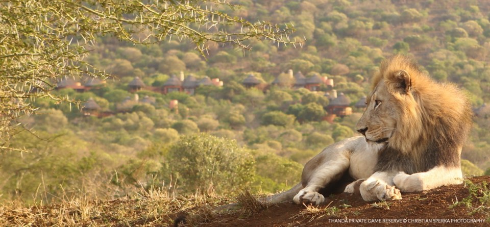 20151014 - CS2_0907 - T