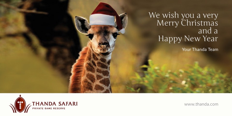 Thanda Christmas 2015