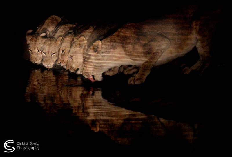 20150826 - CS1_9779 - C