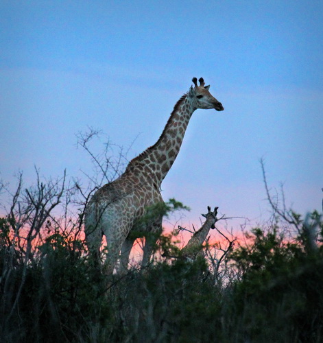 20160102 - CS2_3695 - E