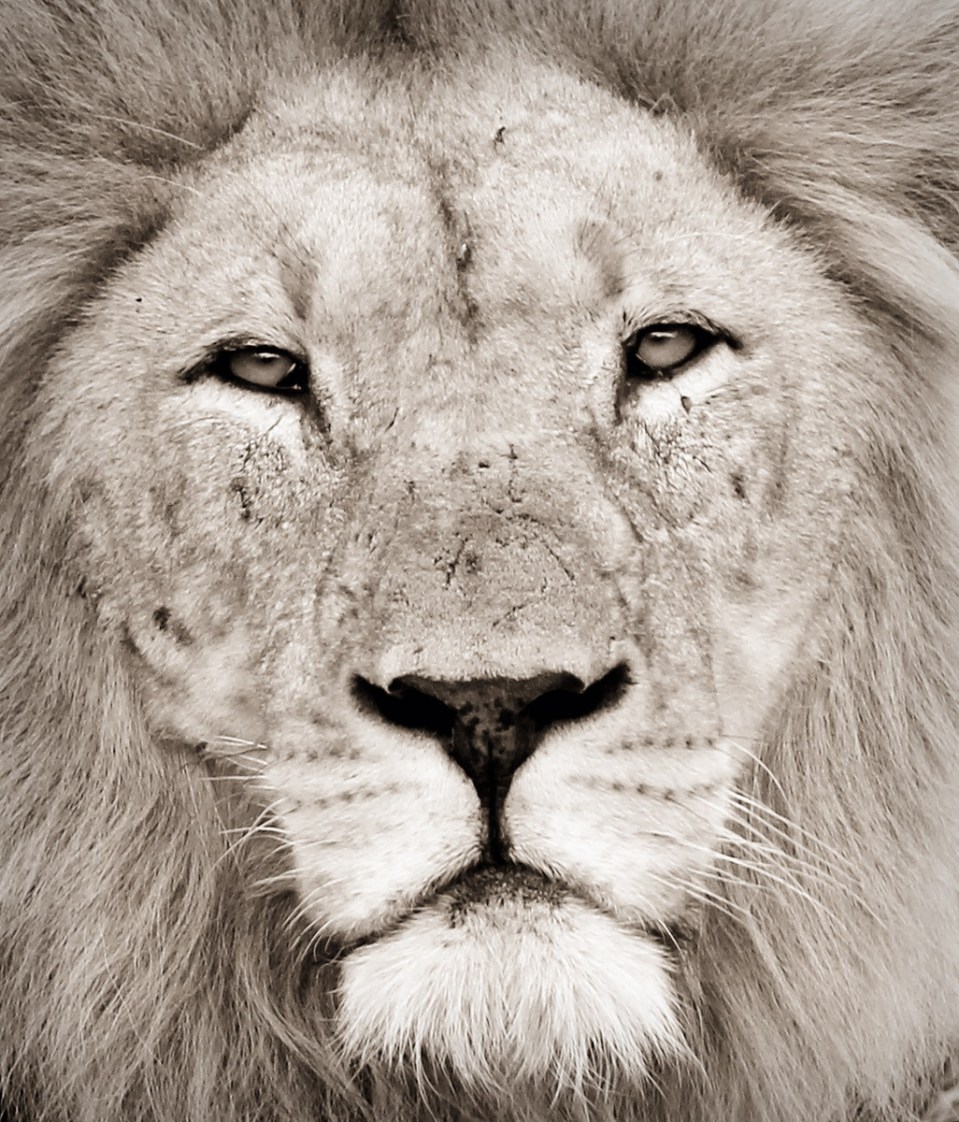 20160102 - CS2_3802 - E