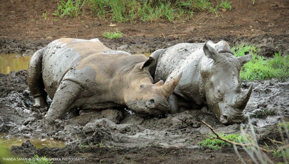 20160315 - CS3_9862 - E - 00